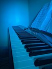 Casio Privia Px-s1100 88-key Weighted Digital Piano With Stand 
