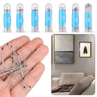 100pcs Insect Specimen Pins Dissection For School Lab Entomology Body Dissection