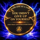     1 Year Sobriety Coin Aa Chip Medallion Alcoholics Anonymous One Year Sober