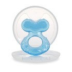 Nuby Silicone Teethe-eez Teether With Bristles  Includes Hygienic Case  Blue