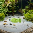 2 Pcs Fish Egg Collector Spawning Mops For Tank Aquarium Plant-like