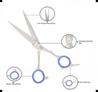 Curve Silver Barber Scissors