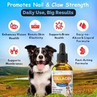 Liquid Collagen For Dogs And Cats  Skin   Coat Supplement  Itch Relief  Joint  