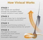Viviscal Men s Hair Growth Supplements 180 Tablets - 3 Month Supply New