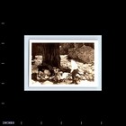 Old Vintage Photo Solo Man In Forest By Tree Creek River Original Snapshot