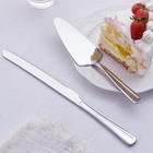 Cake Knife And Server Set Stainless Steel Cutter For Wedding Birthday Parties
