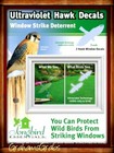 Window Alert Anti-collision Clings Ultraviolet Hawk Prevent Bird Window Strikes