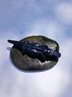 Blue Aligator Stone