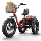 Electric Trike For Adults 960w  3 Wheel Folding Ebike 50 Miles 20  Fat Tire