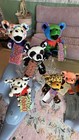 Grateful Dead 7    Bean Bears Collectible Lot Of 12 By Liquid Blue With Cards