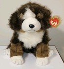 Ty Classic Mugsy The Bernese Mountain Dog 13  New Mwmts Plush Stuffed Animal Toy