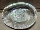 Vintage Large Abalone Dish Natural Sea Shell 7 5    By 6    Rainbow Iridescent