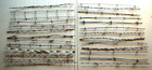 25 Different 18  Antique Patented Barbed Wire Samples - Identified Tagged Lot B