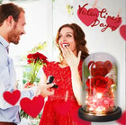 Valentine Teddy Bear Rose Flower Glass Dome Led Gift For Girlfriend Wife