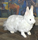 Hansa 2015 Plush White 14  Bunny Rabbit