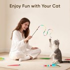 Cat Toys For Indoor Cats 13 Packs Interactive Cat Wand Toy Set With Feather Toys