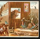 Tramp  Darwin Evolution Ape Walker Stratman Bone Grinder Farm Trade Card Sr f ws