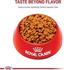 Royal Canin Size Health Nutrition Small Adult Dry Dog Food  30 Lb Bag