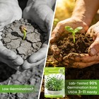 15 Packs Premium Heirloom Herb Seeds Variety Garden Planting   Medicinal Herbs