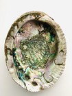 Large Natural Iridescent Abalone Shell - Polished Inner Finish - 7    X 5 5   