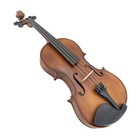 15 Inch Viola Maple Wood Back Side Spruce Top Ebony Fittings With Accessories