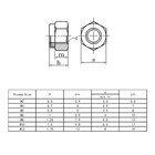 Nylon Insert Lock Nut M3 M4 M5 M6 M8 M10 M12 A2 Stainless Steel Hex Nuts Din985