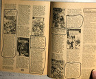 Comic Reader  159 Fanzine  1978  Martian Manhunter Power Girl Huntress Covers