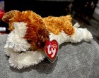 Ty Beanie Baby - Sampson The Puppy Dog  7 5 Inch  Mwmts Stuffed Animal  Retired 