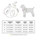 Nylon Dog Harness And Leash Set Fleece Padded Pet Cat Puppy Vest French Bulldog 