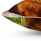 Leonberger Spun Polyester Throw Pillow