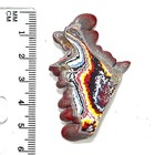 Dvh Kenworth Truck Fordite Polished Face Specimen Chillicothe Ohio Ass   6562 