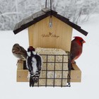 Bird Feeder With Removable Tray  Cedar Hopper Feeder W  Suet 3qt 2 Cakes  Brown