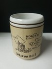 Vintage Hawaii Island Souvenir Coffee Mug Rb Made In Japan New Old Stock 10oz