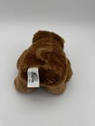 Feisty Pets Brown Grizzly Bear Plush 2015    sir Growls A Lot    Cute Angry 8   