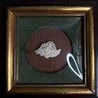 Antique 19th Century Curved Glass Shadow Box Frame With Velvet Mat Victorian