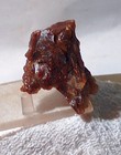 Carey Plume Agate 3 2 Oz Lapidary Rough  92 Grams 