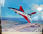 General Dynamics F-16 Air Combat Fighter Jet Framed Print