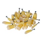 Dental Typodont Teeth Vitro Teeth With Caries Spots 28pcs Fit Kilgore Nissin 200