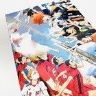 Haikyu   The Dumpster Battle Movie Program Brochure Book Kenma Kozume Shoyo