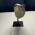 Amethyst Quartz Geode Crystal Cluster Natural Raw Healing Specimen Decor Gift