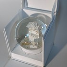 Authentic Louis Vuitton Vivienne Snow Globe Dome With Box