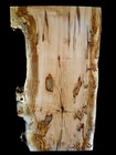 Xxl Wicked Figured Ambroisa Maple Burl Wood Slab  curly Maple  Epoxy Wood  Maple