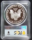  2009  2025 1 Oz Proof Missing Year Silver Eagle Private Issue Pcgs Pr70 Dcam