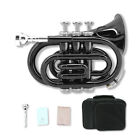 Bb Pocket Trumpet Brass Black Lacquer Trumpet With 7c Mouthpiece hard Case strap