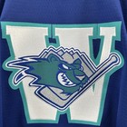 Worcester Ice Cats Jersey Vintage Bauer Mens Large Blue Ahl Hockey 90 s