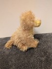 Ganz Webkinz Lioness Large New With Sealed Code Retired Hm193 Nwt