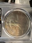 2025 Hulk Hogan Auto Legends Of Life Pcgs Ms70 Fdoi American Silver Eagle  1