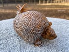 Doedicurus Toy Dinosaur   High Quality Model  Toy  Or Display  New With Tags