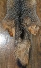 Nice Beautiful Gray Fox Fresh Tanned Hide Super Soft  Leather Craft Pelt Fur 