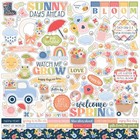 Echo Park Blossoms   Bees Collection Kit 12 x12  Papers Stickers Scrapbooking